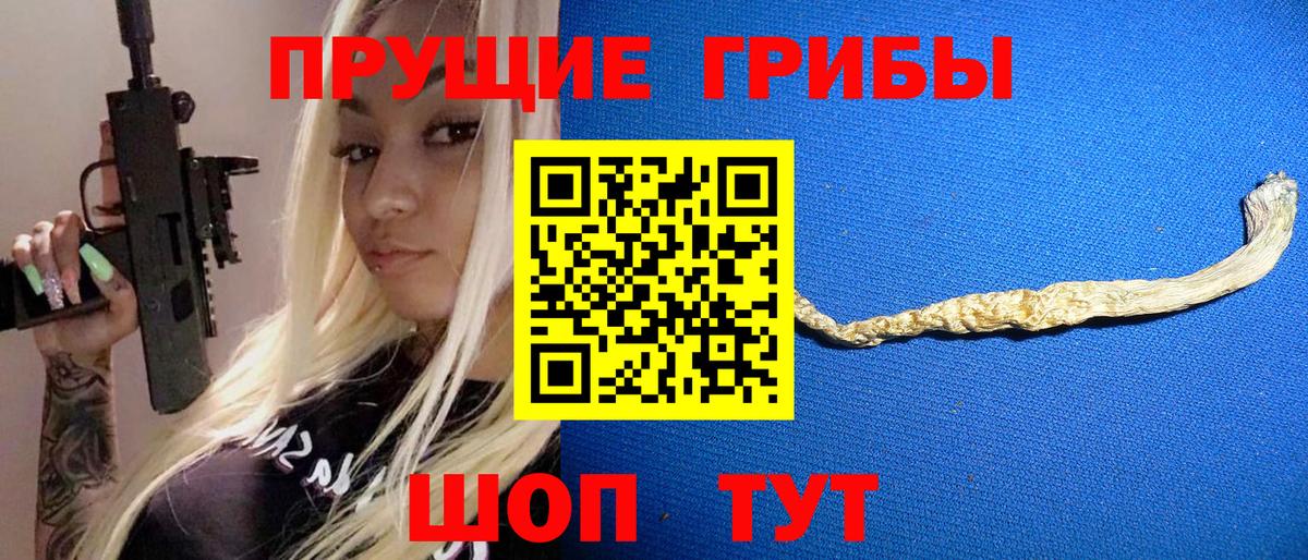 Галлюциногенные грибы Psilocybine cubensis Джанкой