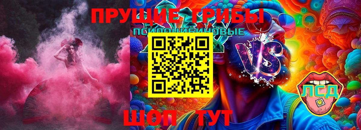 Псилоцибиновые грибы мухоморы  купить закладку  Псилоцибиновые грибы Psilocybe  Джанкой  Вход с VPN 
